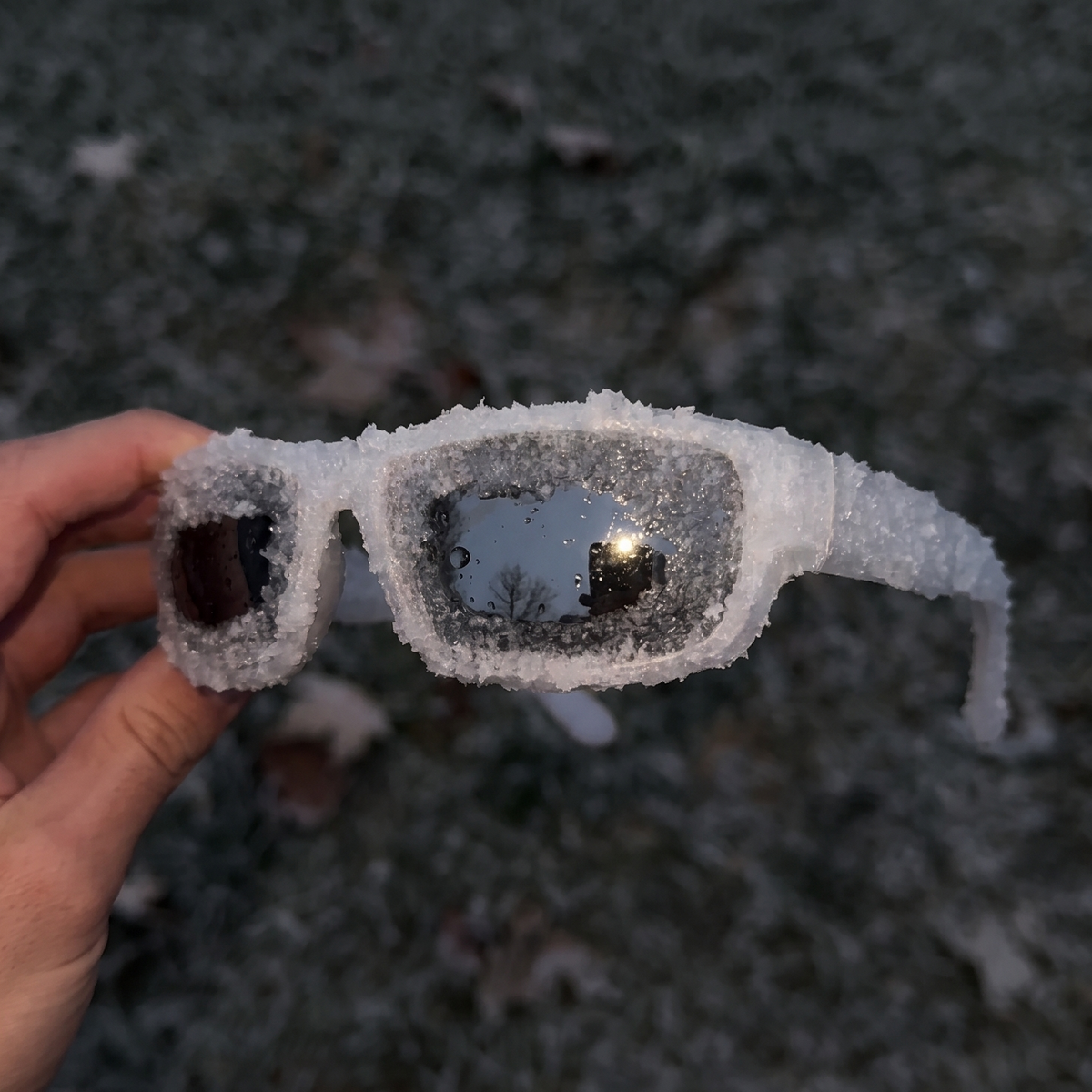 ICE — front