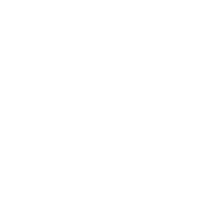 Blindpast